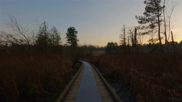 Trail Modern City Deer Lake Park Burnaby Vancouver Canada Colorful — Stockvideo