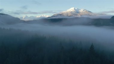 Ormanda Sis ve Dağlı Yeşil Ağaçlar. Kış Güneşli Gündoğumu. Kanada Doğa Peyzajı. Yakın Squamish, British Columbia, Kanada.