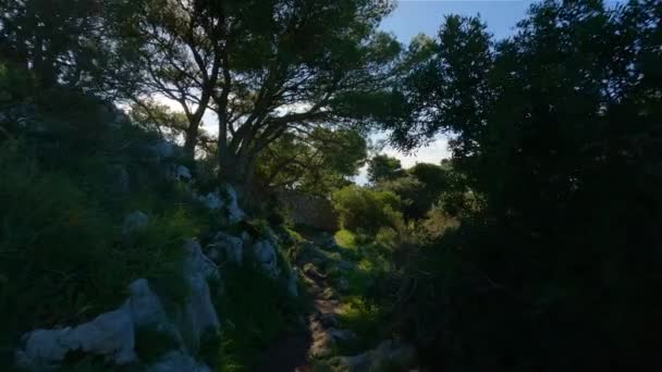 イタリアのナポリ湾のカプリ島の観光タウン 晴れ青い空 自然背景 山頂からの眺め スローモーション シネマティック — ストック動画