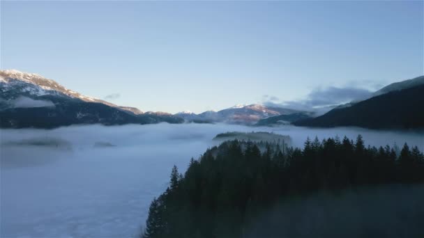 Groene Bomen Bos Met Mist Bergen Winter Sunny Sunrise Canadese — Stockvideo
