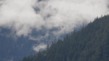 Kar ve Bulut Kanada Doğa Peyzajı 'nı kapladı. Squamish, British Columbia, Kanada 'da kış sezonu. Güneşli Gökyüzü. Yavaş Hareket