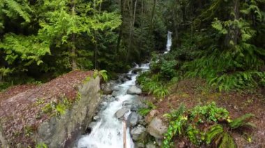 Peaceful River and Waterfall in vibrant green Forest. Near Squamish and Vancouver, British Columbia, Canada. Slow Motion