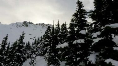Blackcomb Mountain Ski Resort in Winter Season. Whistler, British Columbia, Canada. Slow Motion Cinematic