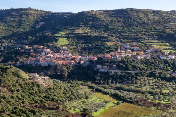 Farms Small Town Mountains Modolo Sardinia Italy Sunny Day — Stock Photo, Image