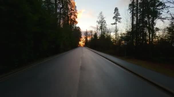 Kör Stanley Park Vintern Sunset Vancouver British Columbia Kanada Äventyrsresor — Stockvideo