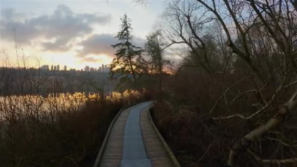 近代的な都市 鹿湖公園での平和的な湖によるトレイル バーナビー バンクーバー カナダ カラフルな冬の夕焼け空 スローモーション シネマティック — ストック動画