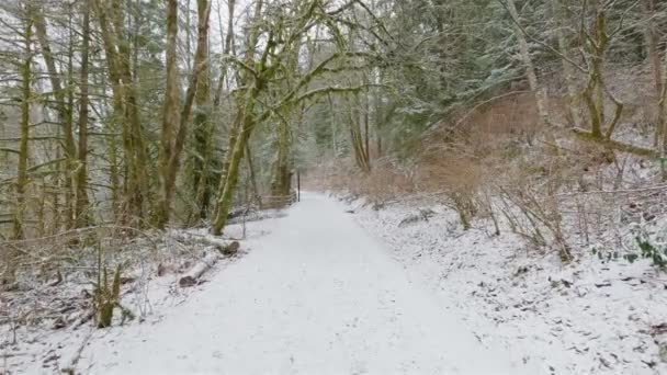 Sendero Senderismo Escénico Bosque Con Nieve Blanca North Vancouver Columbia — Vídeo de stock