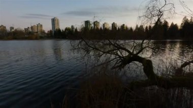 Arka planda binaların silueti olan modern bir şehrin ünlü Stanley Parkı 'ndaki Kayıp Göl manzarası. Renkli Günbatımı Gökyüzü. Vancouver şehir merkezi, British Columbia, Kanada. Yavaş Hareket