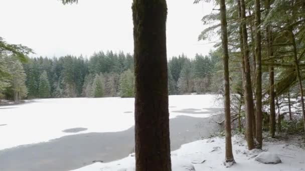 Sendero Senderismo Escénico Bosque Con Nieve Blanca Junto Lago Rice — Vídeo de stock