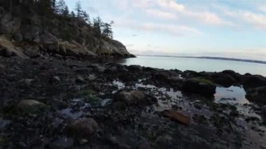 Pasifik Okyanusu 'nun batı kıyısındaki Rocky Shore. Fener Parkı, Batı Vancouver, BC, Kanada. Kış Günbatımı.