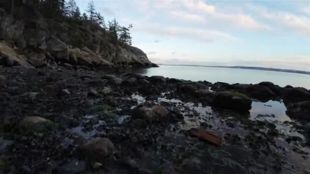 Felsige Küste Der Westküste Des Pazifischen Ozeans Leuchtturmpark West Vancouver — Stockvideo