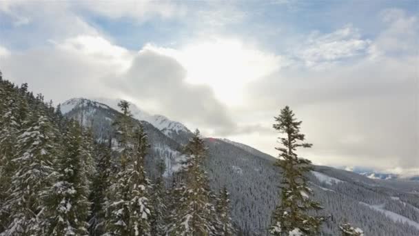冬季的惠斯勒山滑雪度假村 加拿大不列颠哥伦比亚省惠斯勒 慢动作电影 — 图库视频影像
