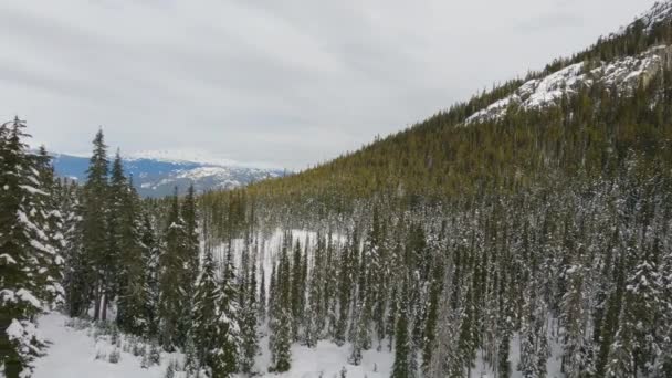Blackcomb Mountain Ski Resort Winter Season Whistler British Columbia Canada — Wideo stockowe