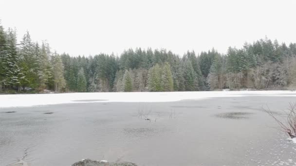Malerischer Wanderweg Wald Mit Weißem Schnee Rice Lake North Vancouver — Stockvideo