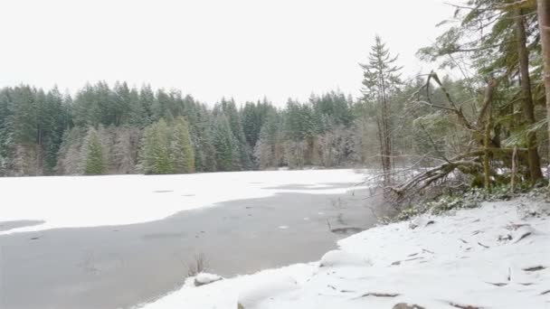 Sentiero Escursionistico Panoramico Nella Foresta Con Neve Bianca Vicino Lago — Video Stock