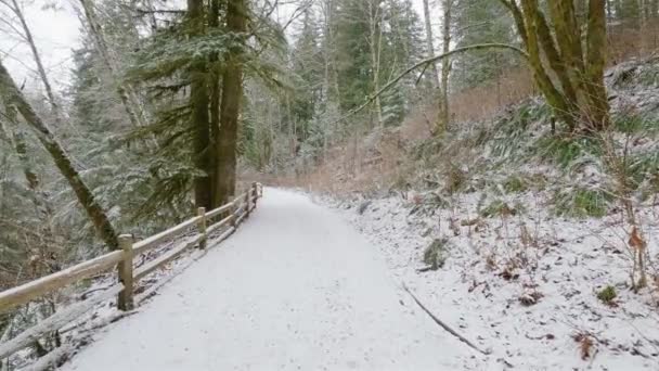 Scénická Turistická Stezka Lese Bílým Sněhem Severní Vancouver Britská Kolumbie — Stock video