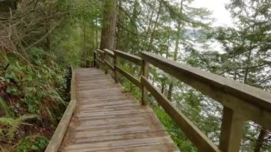 Amiralty Point Park 'taki Manzaralı Yürüyüş Yolu, Port Moody, British Columbia, Kanada. Ormanda canlı yeşil ağaçlar. Kış Sezonu.