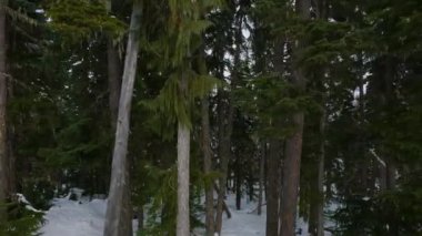 Blackcomb Mountain Ski Resort in Winter Season. Whistler, British Columbia, Canada. Slow Motion Cinematic