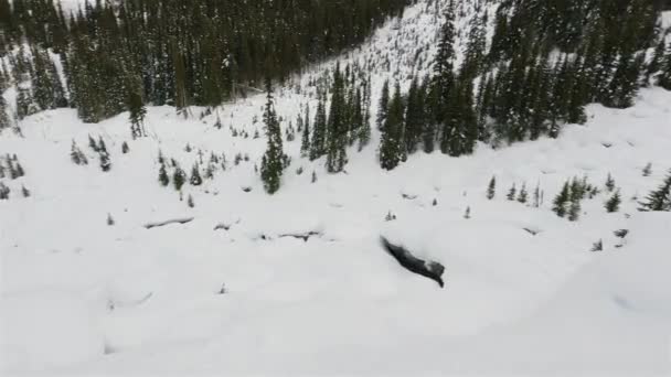 Blackcomb Mountain Ski Resort Winter Season Whistler British Columbia Canada — Stock video