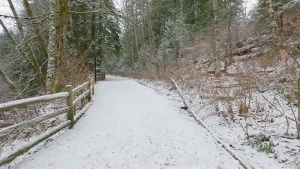 白い雪と森の中の風景ハイキングトレイル カナダのブリティッシュコロンビア州ノースバンクーバー 冬の季節 — ストック動画