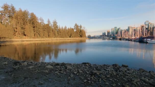 Stanley Park Seawall Coal Harbour Downtown Vancouver City Buildings British — Stock Video
