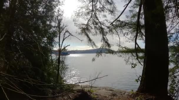Widok Wybrzeże Oceanu Admiralty Point Park Port Moody Kolumbia Brytyjska — Wideo stockowe