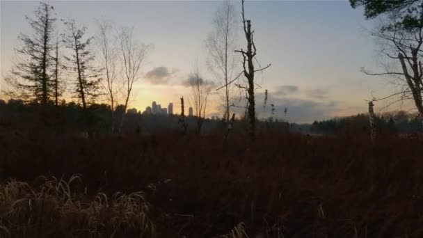 近代的な都市 鹿湖公園での平和的な湖によるトレイル バーナビー バンクーバー カナダ カラフルな冬の夕焼け空 スローモーション シネマティック — ストック動画