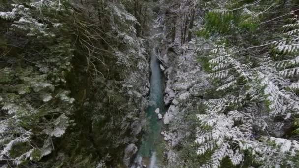 Vue Panoramique Rivière Forêt Avec Neige Blanche North Vancouver Colombie — Video