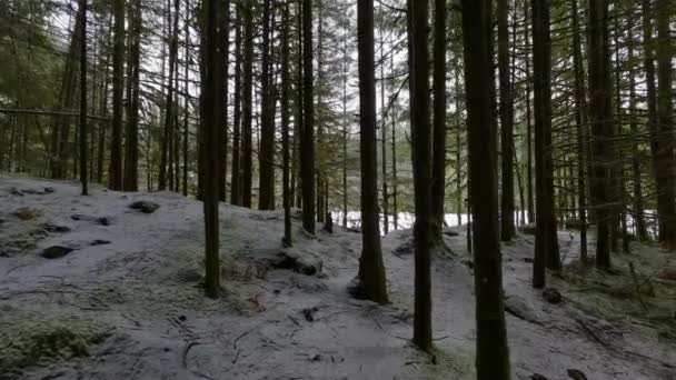 Malowniczy Szlak Turystyczny Lesie Białym Śniegiem Nad Jeziorem Rice Północne — Wideo stockowe
