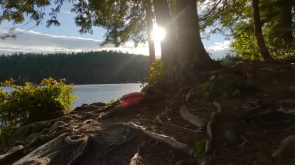 Sunny Evening Sasamat Lake Canadian Nature Розташований Порт Муді Ванкувер — стокове відео