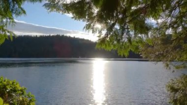 Sasamat Gölü 'nde güneşli bir akşam, Kanada doğası. Port Moody, Vancouver, BC, Kanada.