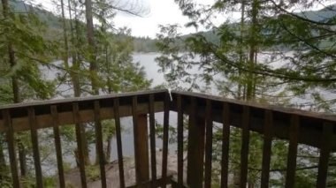 Göl kenarındaki Huzurlu Doğa Sahnesi, Kanada Dağ Manzarası. Vancouver 'daki Buntzen Gölü, British Columbia, Kanada. Yavaş Hareket