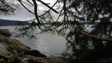 Amiralty Point Park 'taki Okyanus Kıyısı Manzarası, Port Moody, British Columbia, Kanada. Kış Sezonu.