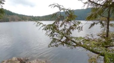 Göl kenarındaki Huzurlu Doğa Sahnesi, Kanada Dağ Manzarası. Vancouver 'daki Buntzen Gölü, British Columbia, Kanada. Yavaş Hareket