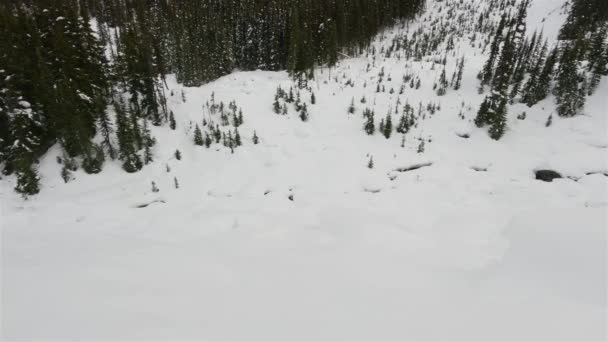 Blackcomb Mountain Ski Resort Winter Season Whistler British Columbia Canada — Video Stock