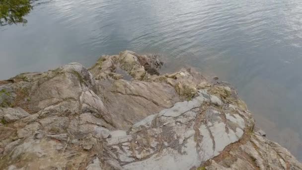 Lugn Natur Scen Vid Sjön Kanadensiska Mountain Landskap Bakgrund Buntzen — Stockvideo