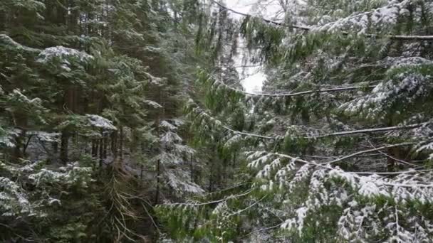 Vista Panoramica Del Fiume Nella Foresta Con Neve Bianca North — Video Stock