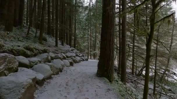 Sentier Panoramique Randonnée Forêt Avec Neige Blanche North Vancouver Colombie — Video