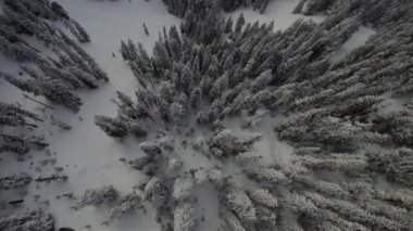 Kanada Rocky Dağı Kanada 'daki British Columbia' da karla kaplı. Bulutlu Günbatımı Gökyüzü. Hava Uçuşu