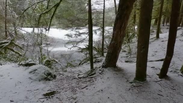 レイスレイクの白い雪と森の中の風景ハイキングコース カナダのブリティッシュコロンビア州ノースバンクーバー 冬の季節 — ストック動画