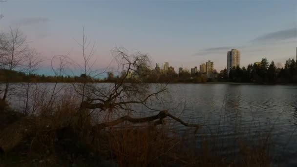 Вид Лагуну Знаменитом Стэнли Парке Современном Городе Фоне Зданий Красочный — стоковое видео
