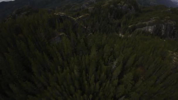ブリティッシュ コロンビア州 カナダのロッキーマウンテン風景による航空便 曇った空 — ストック動画