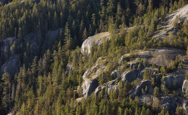 Falésias Rochosas Chief Mountain Squamish Canadá Fundo Natureza Dia Ensolarado — Fotografia de Stock