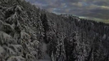 Kanada Rocky Dağı Kanada 'daki British Columbia' da karla kaplı. Bulutlu Günbatımı Gökyüzü. Hava Uçuşu