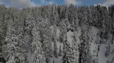 Kanada Rocky Dağı Kanada 'daki British Columbia' da karla kaplı. Bulutlu Günbatımı Gökyüzü. Hava Uçuşu