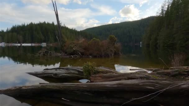 Cena Natureza Pacífica Junto Lago Paisagem Montanhosa Canadense Fundo Buntzen — Vídeo de Stock