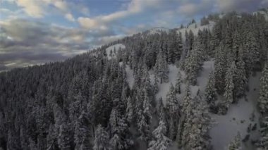 Kanada Rocky Dağı Kanada 'daki British Columbia' da karla kaplı. Bulutlu Günbatımı Gökyüzü. Hava Uçuşu