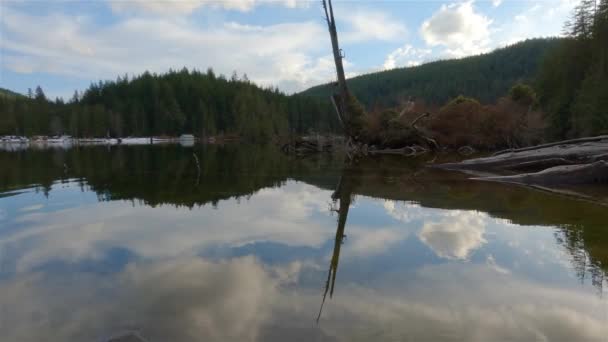 Ειρηνική Φύση Σκηνή Από Λίμνη Καναδικό Τοπίο Στο Βουνό Φόντο — Αρχείο Βίντεο