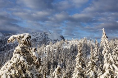 Kanada Dağ manzarası karla kaplıydı. Seymour Dağı, Kuzey Vancouver, British Columbia, Kanada. Doğa Arkaplanı