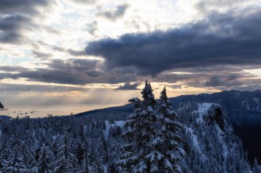 Kanada Dağ manzarası karla kaplıydı. Seymour Dağı, Kuzey Vancouver, British Columbia, Kanada. Doğa Arkaplanı